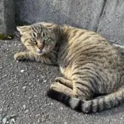 ばちゅ。