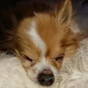 まりん ★プロフ必読✨