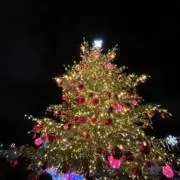 KAaNAkの画像