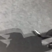 Ddの画像