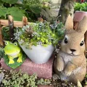 °∴❁✽Saӥ✽❁∵°の画像
