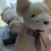 ❦amo❦♥今ならおまけ付きの画像