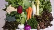 ninosan_farmの画像
