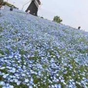 ひろ