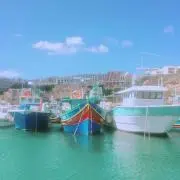 トントン88の画像