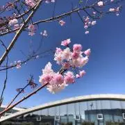 Miriaの画像