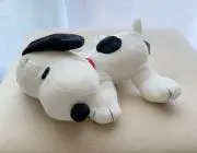 レオの画像