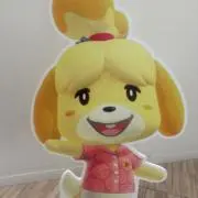 かんなの画像