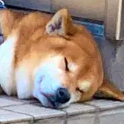 スサマルの画像