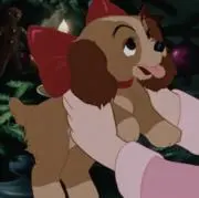 ‪︎‬︎‪︎‬︎piの画像