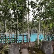 takaの画像