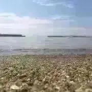 つよぷー☆の画像
