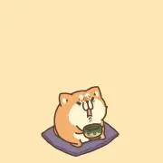 もちこの画像