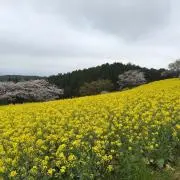 あむの画像