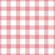 ぴぴの画像