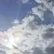 おひよの画像