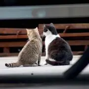 ゆープロフを閲覧下さいm(_ _)mの画像