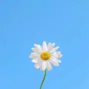 たいぞうの画像