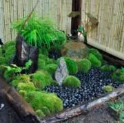 ねこ雷神の画像