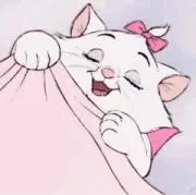 みの画像