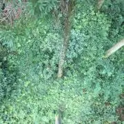 即購入可