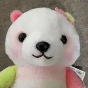 しゃーの画像