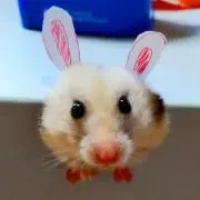 ⚠プロフご確認ください！の画像