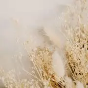 にこの画像