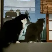 郁の画像