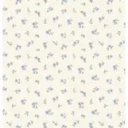 hana♡の画像