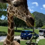 イオリ★即購入OKの画像