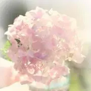 chiiiの画像
