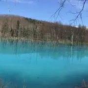 絢子の画像