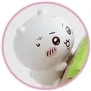 ぽぽぬの画像