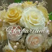 ♡Bel fiore♡の画像