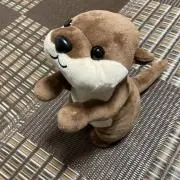 ヒロにゃんの画像