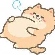 ᕦ(ò_óˇ)ᕤの画像