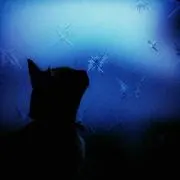 ぐみの画像