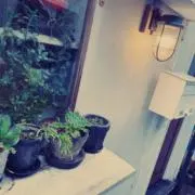 ＦＵＵの画像