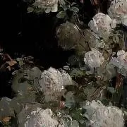 断捨離中の画像