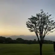 malの画像