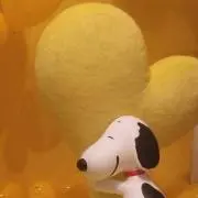 ユキの画像