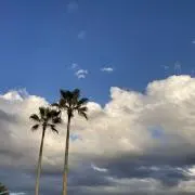 じゅじゅの画像