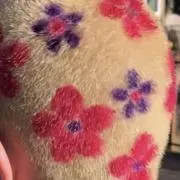 Kasturesellsの画像