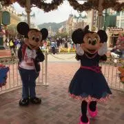 アプリコットの画像