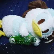 ドナルドの画像