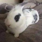 cocoa♡