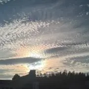 ke0529の画像