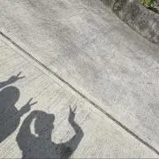 mayu