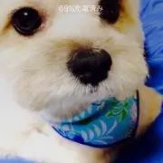 えみ